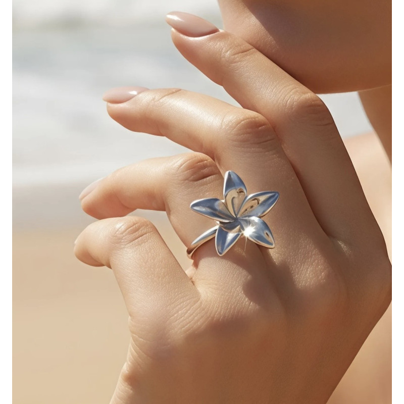 Bague Anna argenté