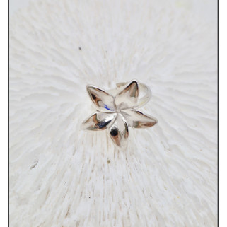 Bague Anna argenté