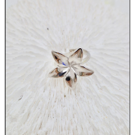 Bague Anna argenté