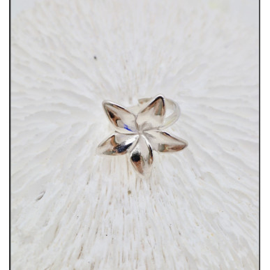 Bague Anna argenté